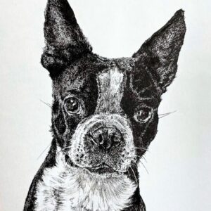 Pet Portrait in Ink