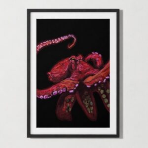 leafy sea dragon