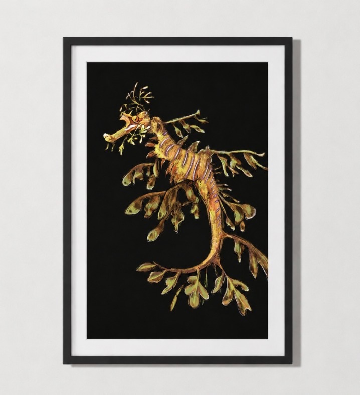 leafy sea dragon