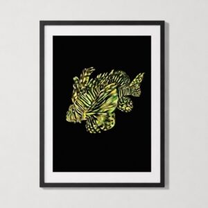 leafy sea dragon