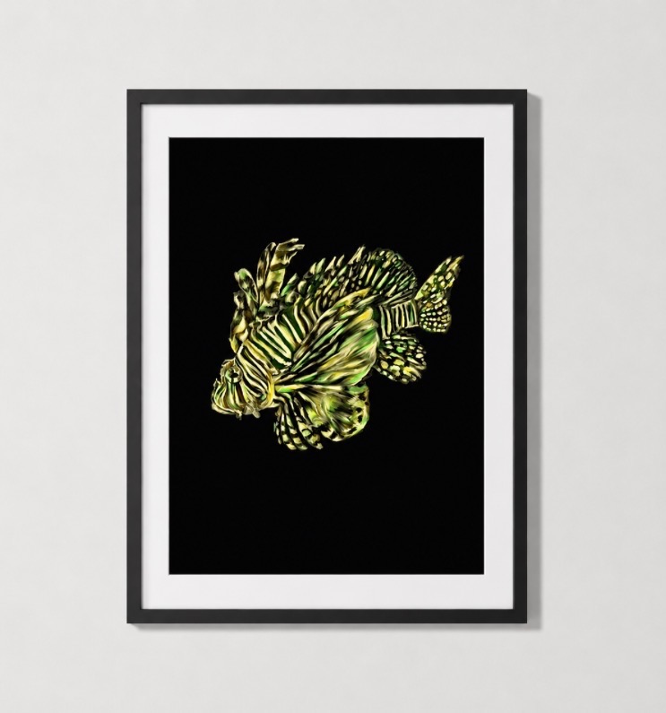 leafy sea dragon