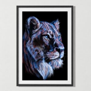 lioness