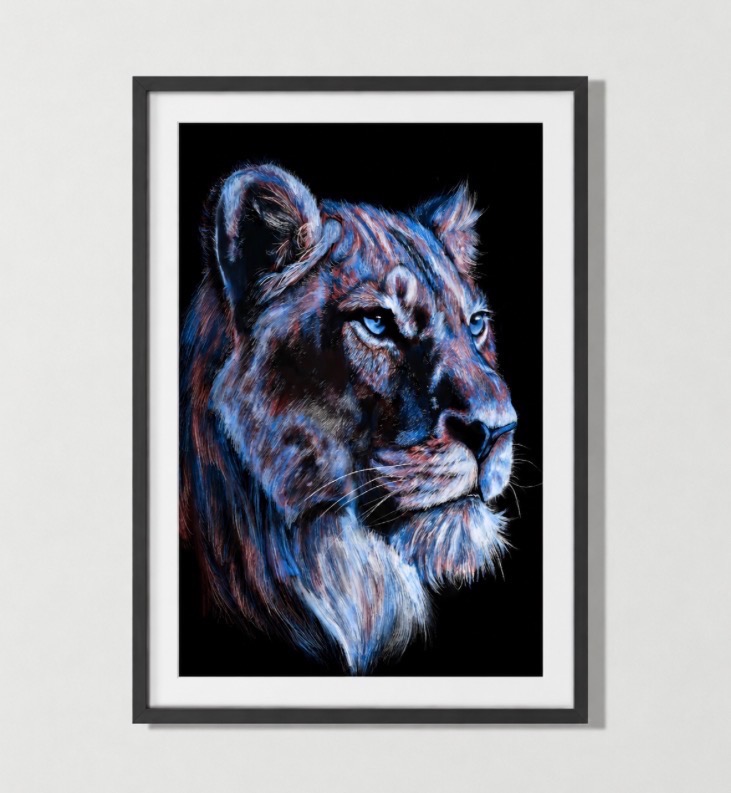 lioness